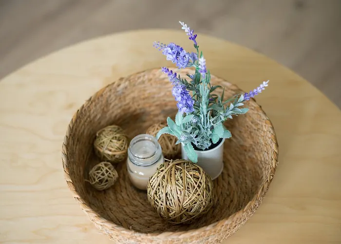 Sofia Navarro Bello, 1 P2 6d * Las Palmas de Gran Canaria