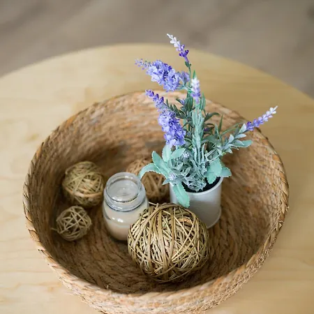 Sofia Navarro Bello, 1 P2 6d * ラスパルマス・デ・グランカナリア